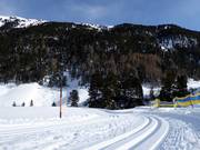 Langlaufloipes in Vent