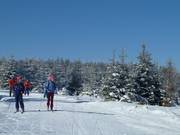 Langlaufers op de Kaltenbronn