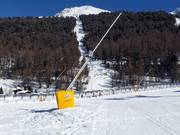 Sneeuwlans in het dalgebied