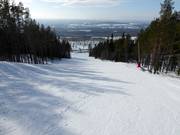 Piste Fridabranten nr. 12