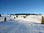 Uitzicht op de lichte panoramapiste