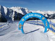 Tip voor de kleintjes  - FunRide Ahorn met Familiepark