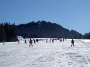 Voor beginners: Vlakke en brede Roßalm-afdaling (Winklmoosalm)