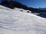 Oefenpiste in Silbis Winterwelt