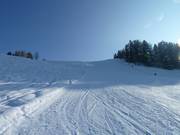 Uitzicht van beneden op de Fuchs-piste