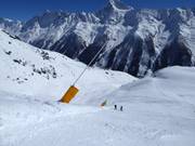 Lanzenbesneeuwing op de Lauchernalp