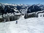 Varianten bij de Sunliner