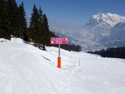 Pistebewegwijzering in het skigebied