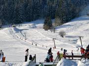 Hausleiten - Sleeplift met T-beugel/Ankerlift