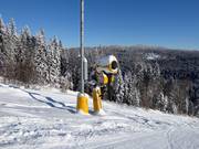 Krachtige sneeuwkanon bij de Kißlingerlift