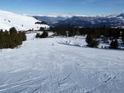 Gemakkelijke piste Schwarzhorn 1