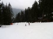 Makkelijke piste van de Planards