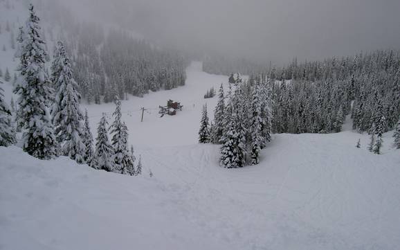 Cascade Range: Grootte van de skigebieden – Grootte Mt. Hood Skibowl