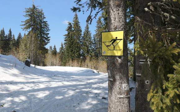 Langlaufen Smoljan – Langlaufen Pamporovo