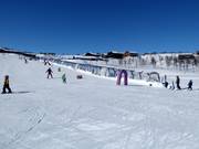 Tip voor de kleintjes 