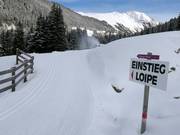 Loipe in Ochsengarten