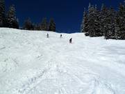 Varianten bij de Sunliner