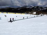 Transportband Boardwalk