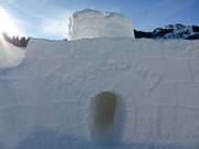 Tip voor de kleintjes  - Toggenburg