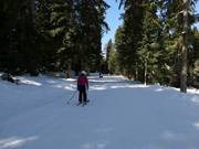 Verbindingspiste naar de gondellift Yastrebets