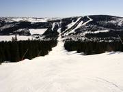 Afdaling vanaf de Valsfjell