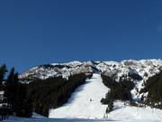 Uitzicht op de steile pistes bij North American