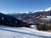 Bosafdalingen tussen Ponte di Legno en Temù