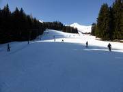 Kreuzboden-oefenhelling