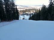 Middelzware bosafdaling