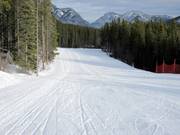 Makkelijke piste in het dalgebied