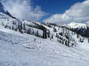 Uitzicht over de Lizard Bowl