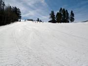 Brede afdaling Friedl´s