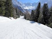 Verbindingspiste Kanzel-Seilbahn
