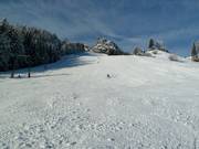 Zwarte piste Postalm Standard