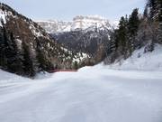 Moeilijke dalafdaling van de Ciampac naar Alba