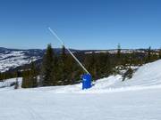 Sneeuwlans in Hafjell