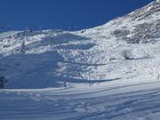 Uitzicht op de skiroute Standard