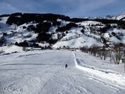 Bij de Bründlstadl zijn er vlakke, brede pistes.
