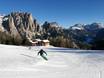 Rosengarten: beoordelingen van skigebieden – Beoordeling Catinaccio/Ciampedie – Vigo di Fassa/Pera di Fassa