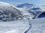 Wavebaan Myrkdalscrossen Nr. 12