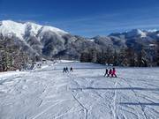 Gemakkelijke Mosenafdalingen