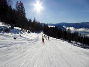 Makkelijke skiroute Loser