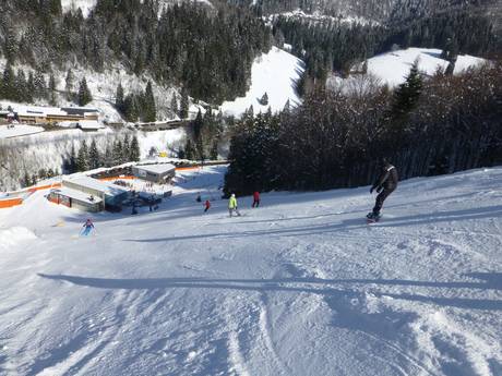 Skigebieden voor gevorderden en off-piste skiërs Lörrach – Gevorderden, off-piste skiërs Feldberg – Seebuck/Grafenmatt/Fahl