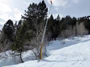 Lanzenbesneeuwing in het skigebied Jackson Hole