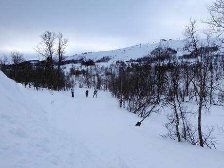 Langlaufen Scandinavië – Langlaufen Tänndalen