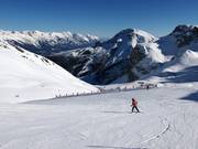 Gemakkelijke Olympia damesafdaling