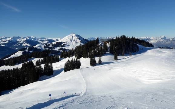 vakantieregio Hohe Salve: Grootte van de skigebieden – Grootte SkiWelt Wilder Kaiser-Brixental