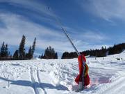 Lanzenbesneeuwing in Kläppen