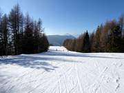 Piste Serrada nr. 12