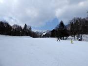 Gemakkelijke afdaling Prince